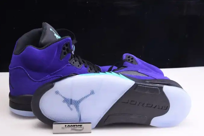 Reps TBK 5 Jordan 136027-500 Alternate Retro Grape Air 0517